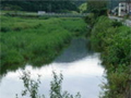 大石川