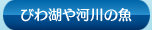 びわ湖や河川の魚