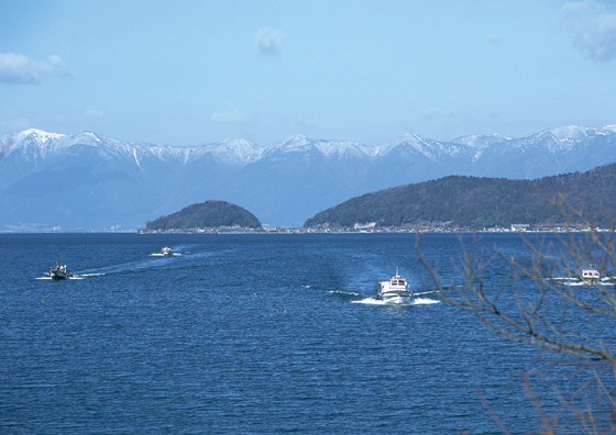 四季の風景　春